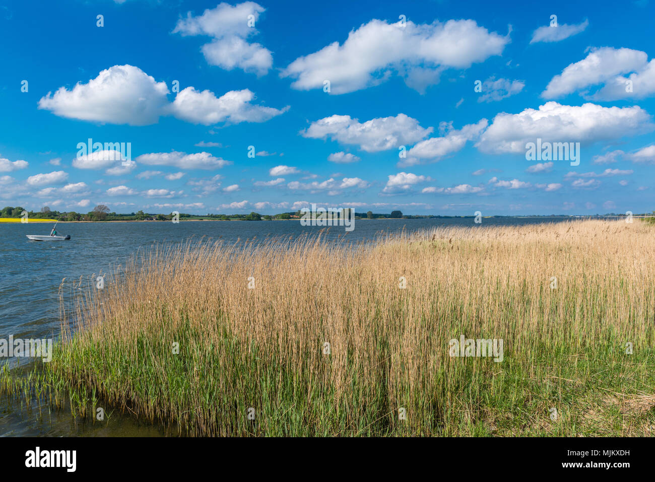 Das romantische Dorf Sieseby, Gemeinschaft von Thumby, auf der Schlei, Schleswig-Holstein, Deutschland, Europa Stockfoto