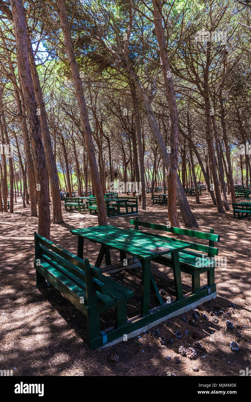 Bänke mit Tischen für ein Picknick in einem mediterranen Wald neben der Küste von Sizilien, Italien Stockfoto