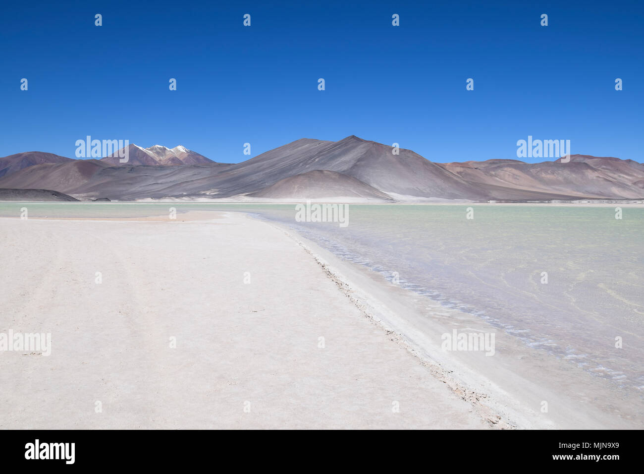 Salar de Talar in der Atacama Wüste (Chile) Stockfoto