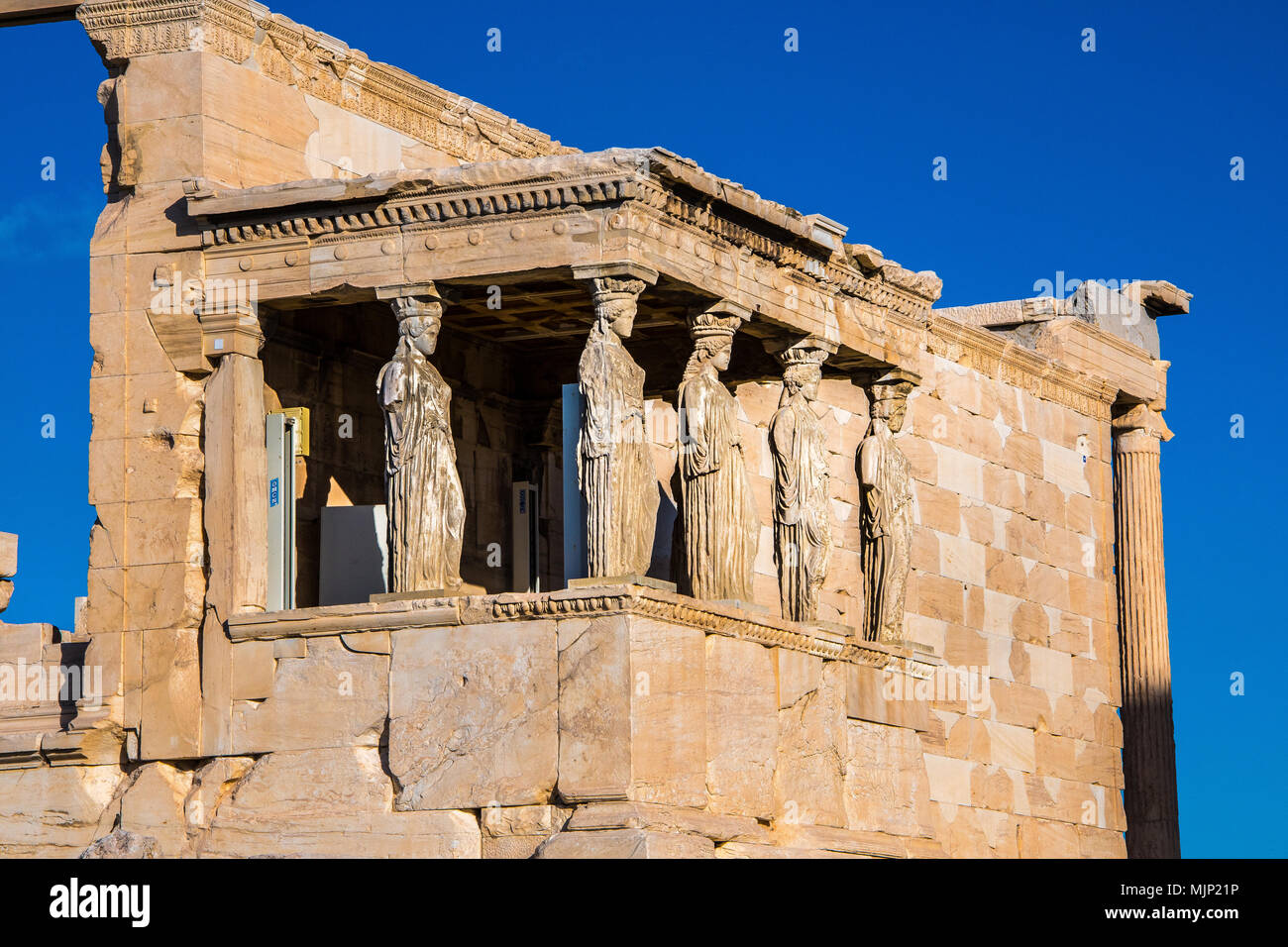 Die Karyatiden des Erechtheion auf der Akropolis Athen Griechenland. Stockfoto