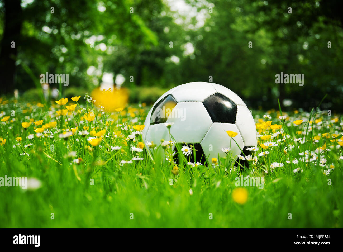 Ein klassisches Fußball Schwarz und Weiß im Gras mit Blumen im Frühling im  Park Stockfotografie - Alamy