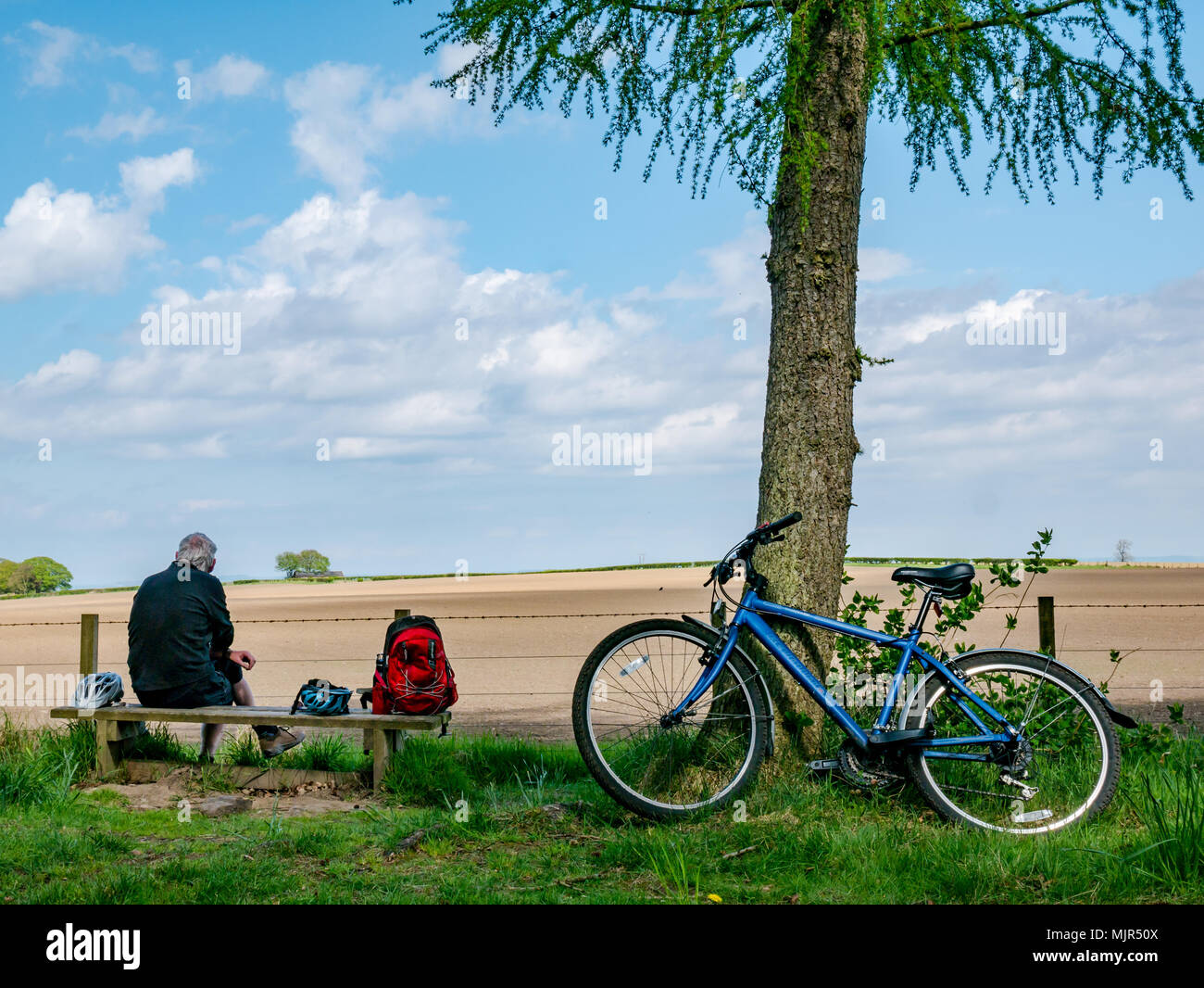 Winton Estate, East Lothian, Schottland, Vereinigtes Königreich, 6. Mai 2018. Radfahrer lassen Fahrräder lehnte sich auf Bäumen, während ein älterer Mann Radfahrer auf einer Bank sitzt und genießt den Blick auf die Landschaft in den Furchen des Feldes Stockfoto