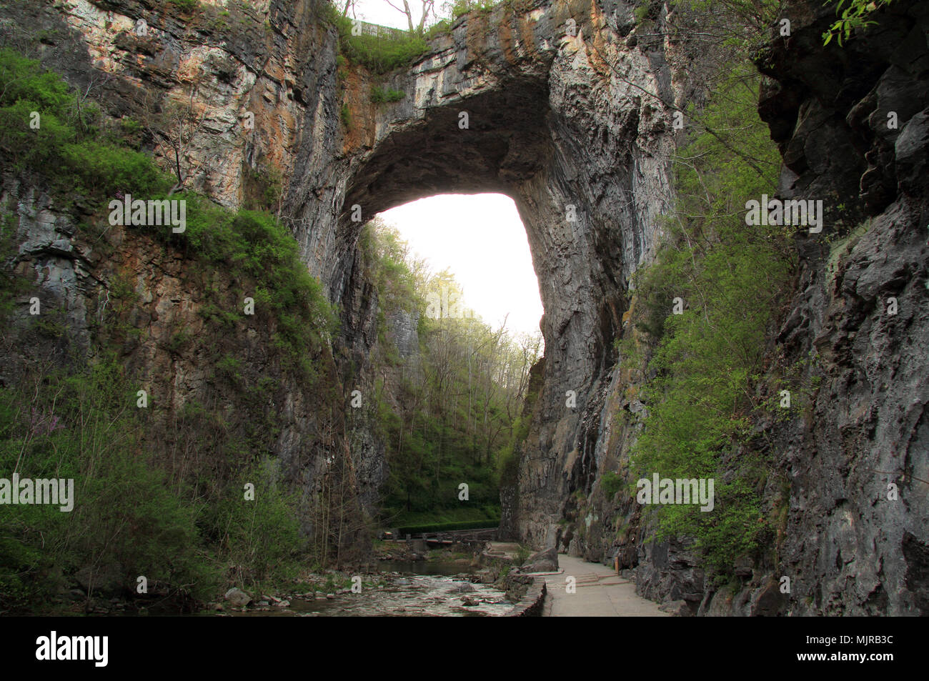 Eine der beliebtesten Websites in Virginia ist Natural Bridge State Park, mit Prominenten geologische Formationen, unberührte Flüsse, und Wanderwege Stockfoto