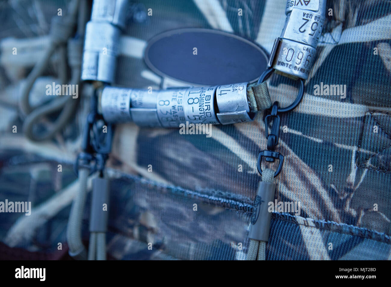 Vögel Bein label Ringe auf Jäger Rucksack aufgereiht wie eine Trophäe in enger gesehen - bis Stockfoto