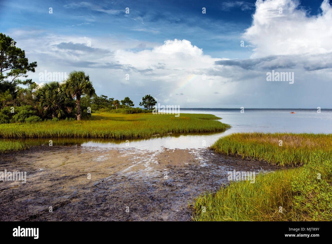 Gewitterwolken mit einem Regenbogen über st. Joe Bay State Park, Florida Stockfoto