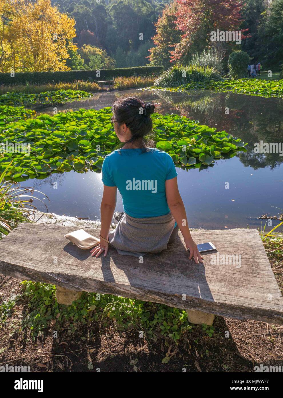 Junge Frau sitzt auf grob behauenen Holzbank über Lilly bedeckten Teich suchen in abnehmenden fallen Nachmittag Sonne. Stockfoto