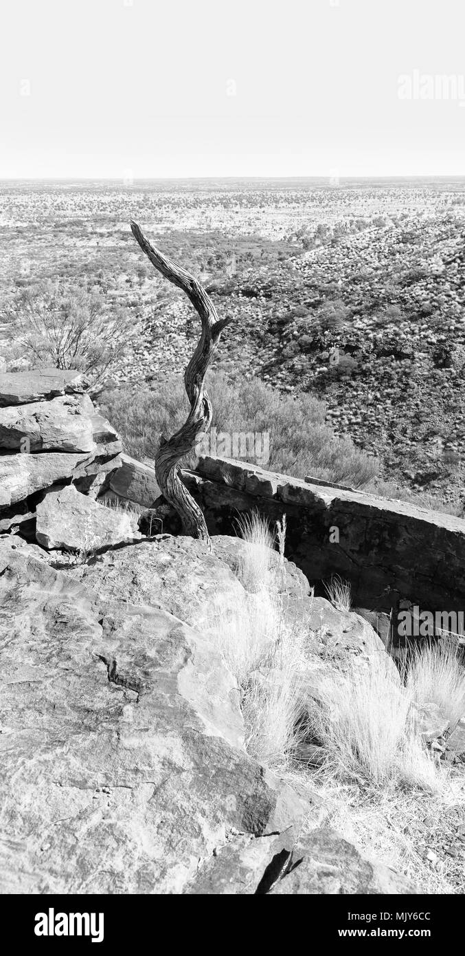 In Australien die Kings Canyon Natur wild und Outback Stockfoto