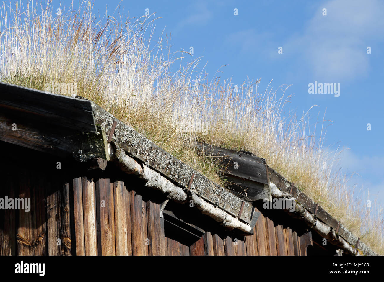 Alte Holzhaus mit Grasdach in der Norwegischen gewinnenstadt Roros. Stockfoto