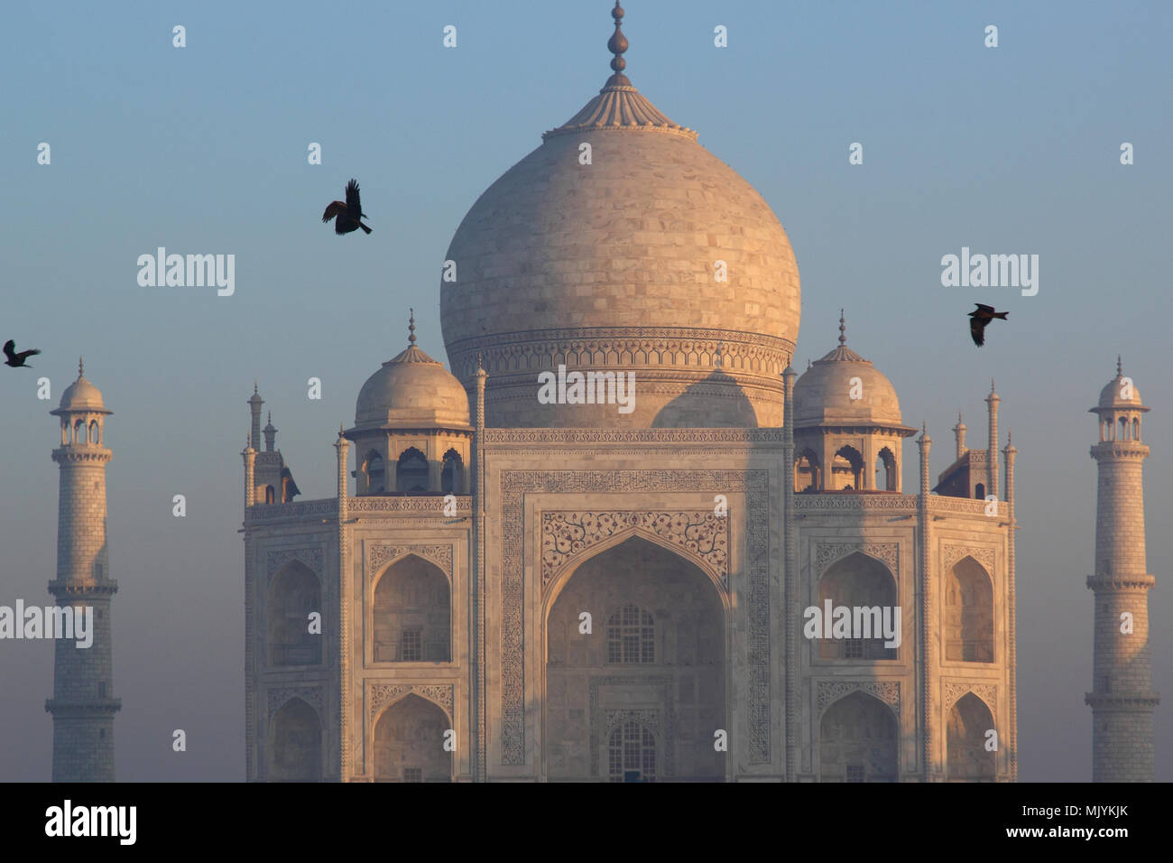 Panoramablick auf das Taj Mahal bei Sonnenaufgang Stockfoto