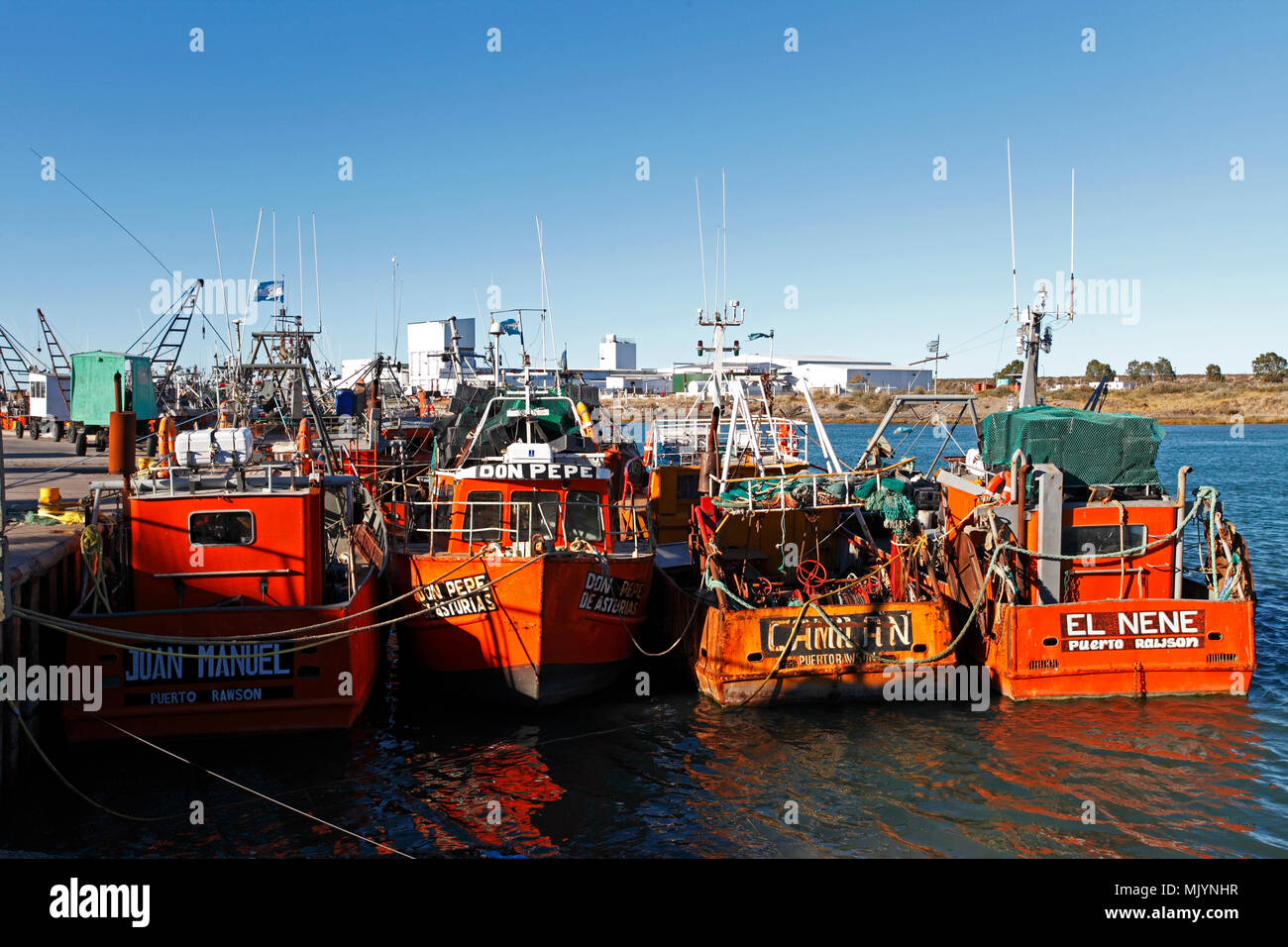 Fsihing Flotte in Puerto Rawson. Krabben und Garnelen Boote und Krane Stockfoto