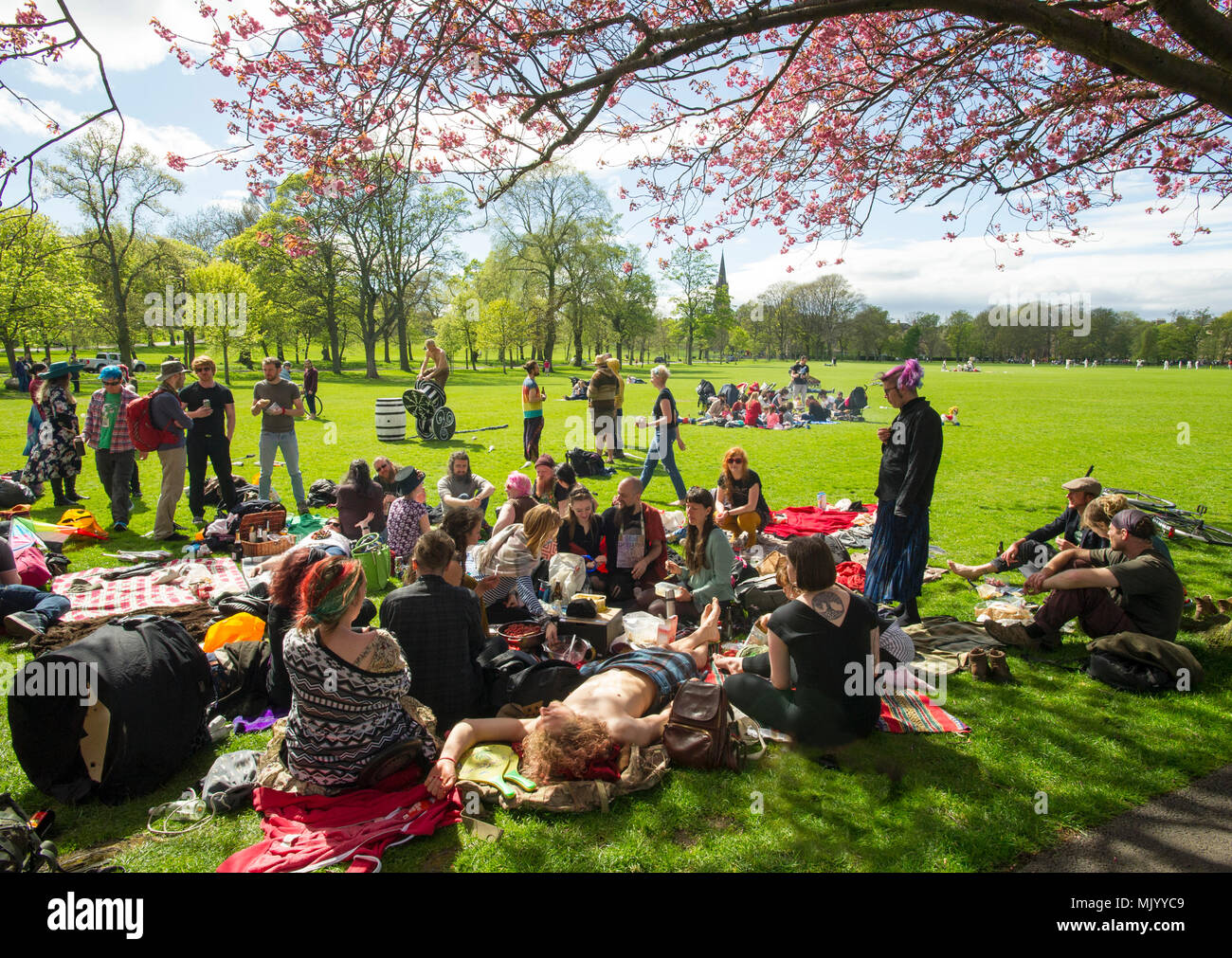 Eine Gruppe von Menschen, die sich unter einer Kirschblüte Baum in den Wiesen während der May Bank Holiday Wochenende. Stockfoto
