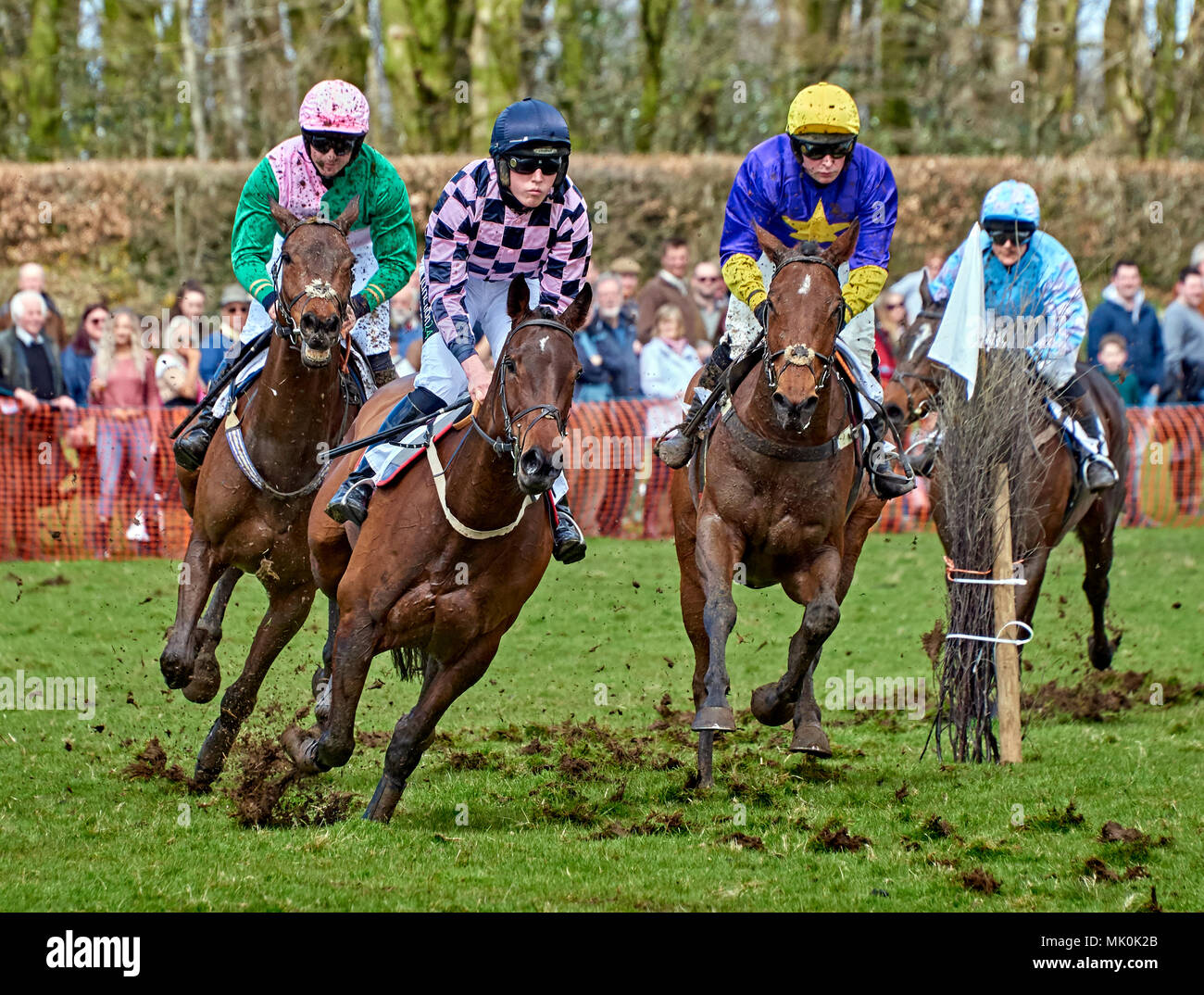 Vier laienhaften Jockeys reiten bay Jäger, Galopp über weichen Untergrund, während in einer Punkt-zu-Punkt konkurrieren Ereignis Stockfoto