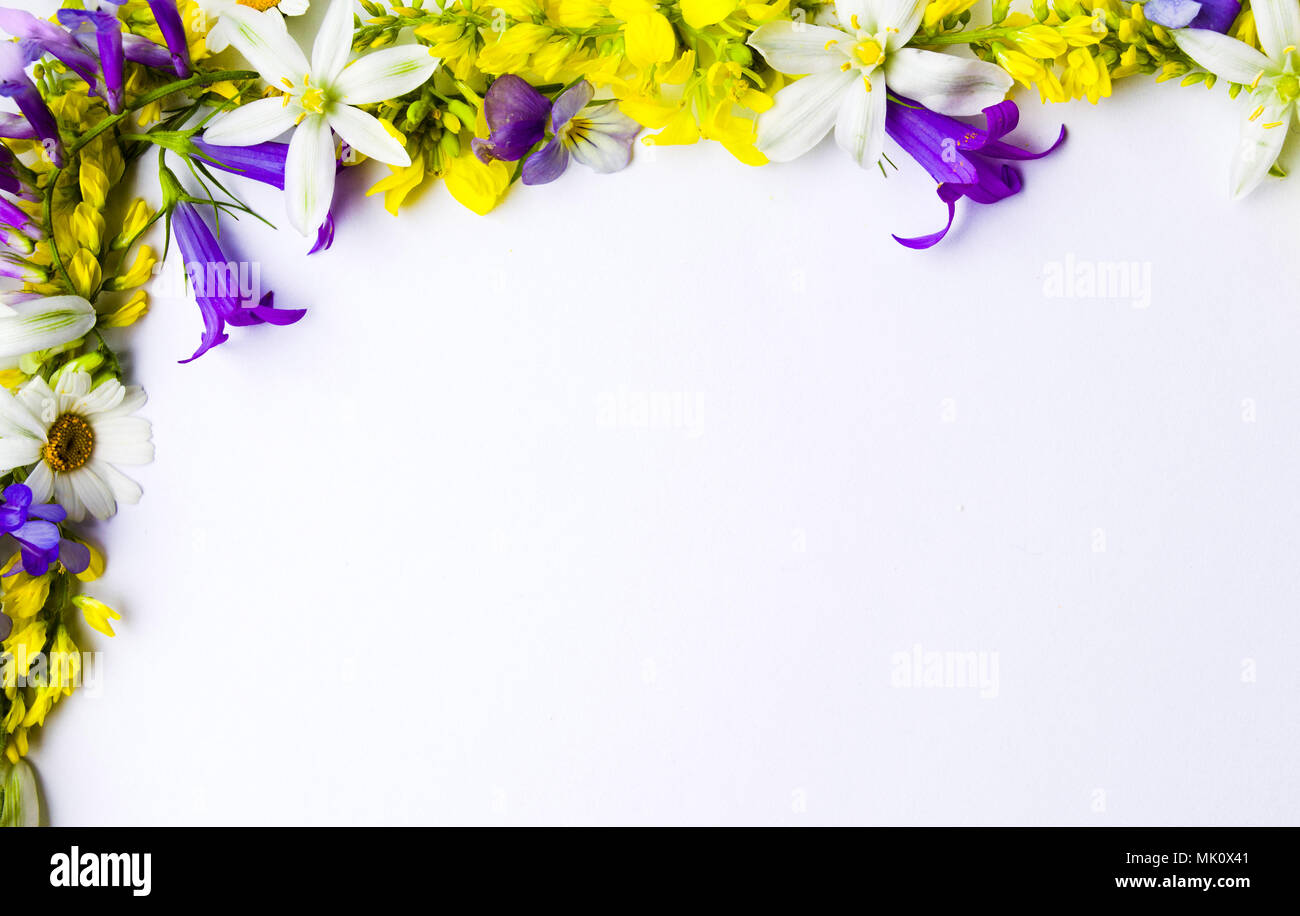 Wildblumen Anordnung mit Copyspace auf Weiß Stockfoto