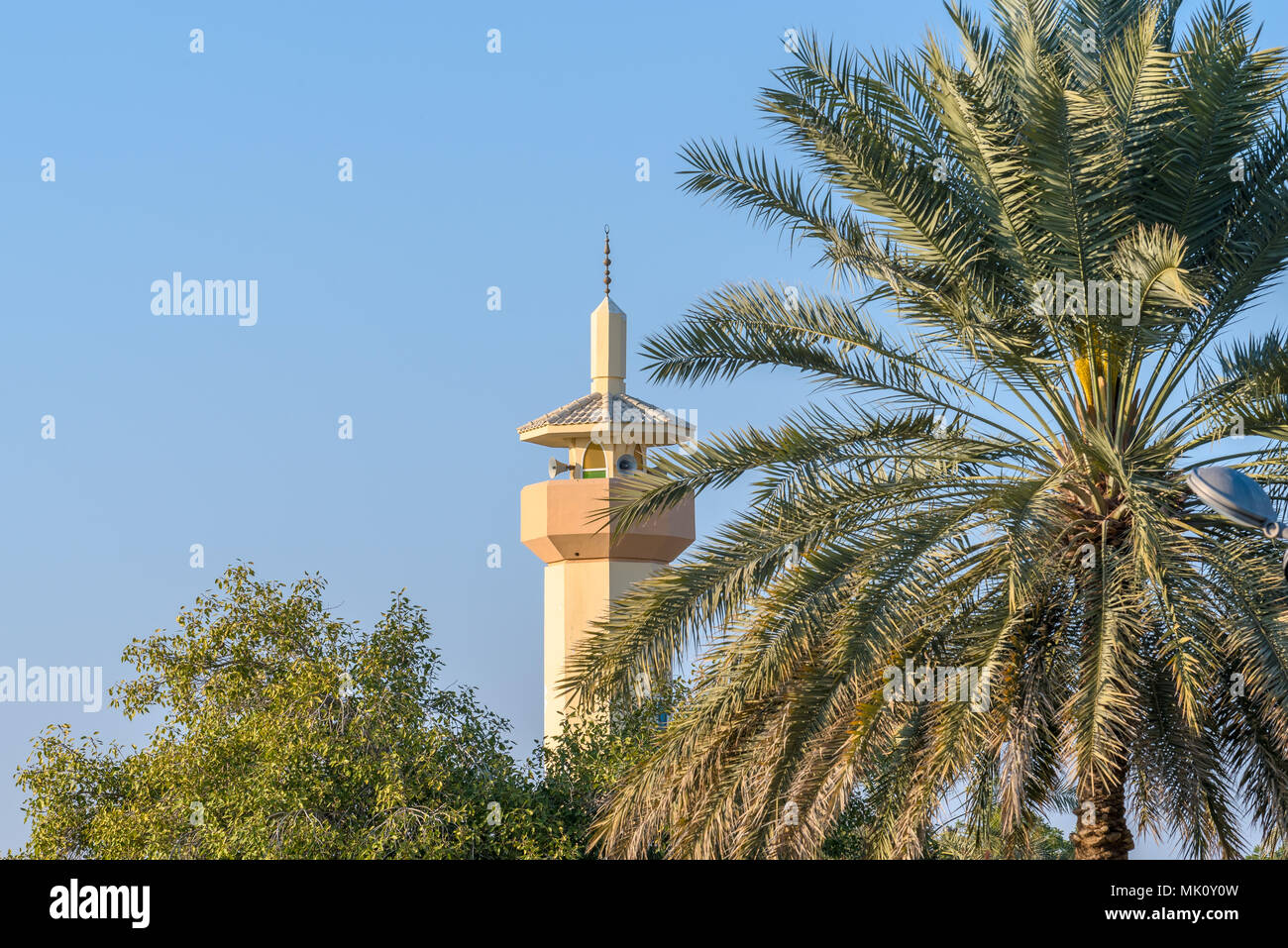 Minarett einer Moschee/Moschee hinter Palm Tree Stockfoto