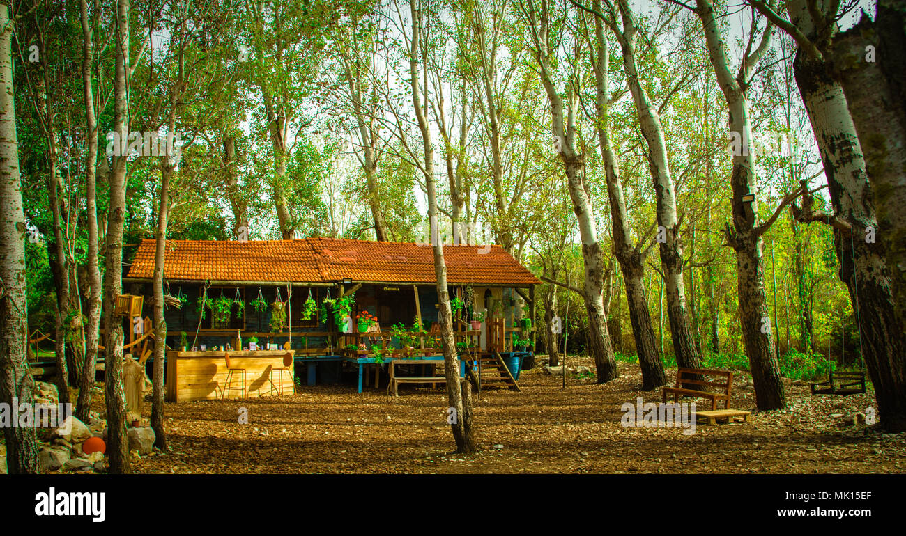 Einsames Haus Im Wald Stockfoto Bild 183808423 Alamy