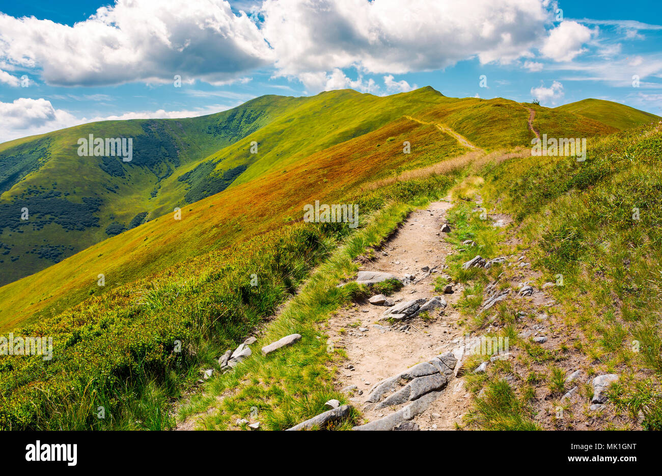 Pfad zur Spitze des Berges. schönen Sommer Landschaft. großes Ziel zu reisen. Lage Velykyi Verkh Höhepunkt der Borschawa Ridge in Karpaten Stockfoto