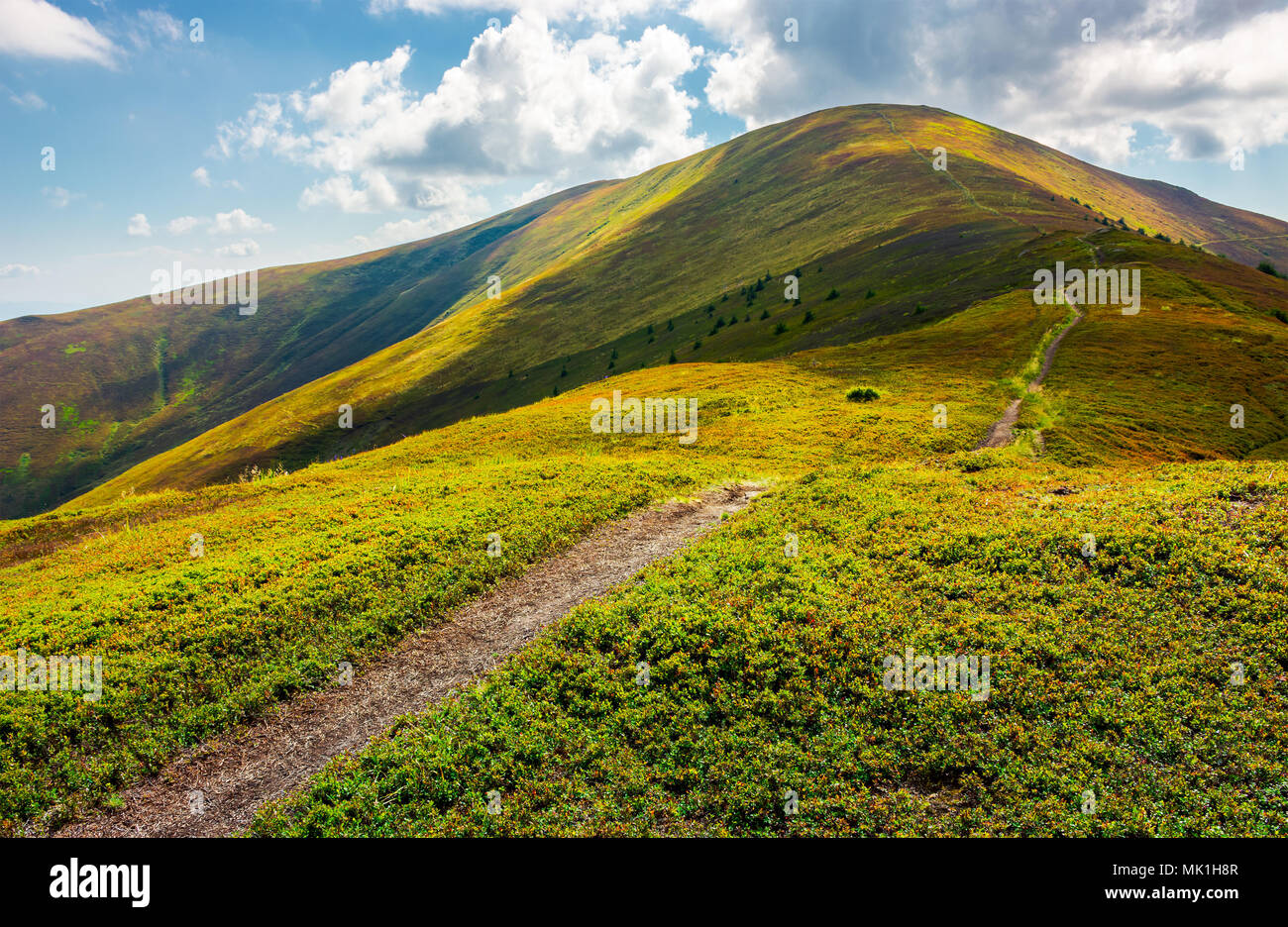 Pfad zur Spitze des Berges. schönen Sommer Landschaft. großes Ziel zu reisen. Lage Velykyi Verkh Höhepunkt der Borschawa Ridge in Karpaten Stockfoto
