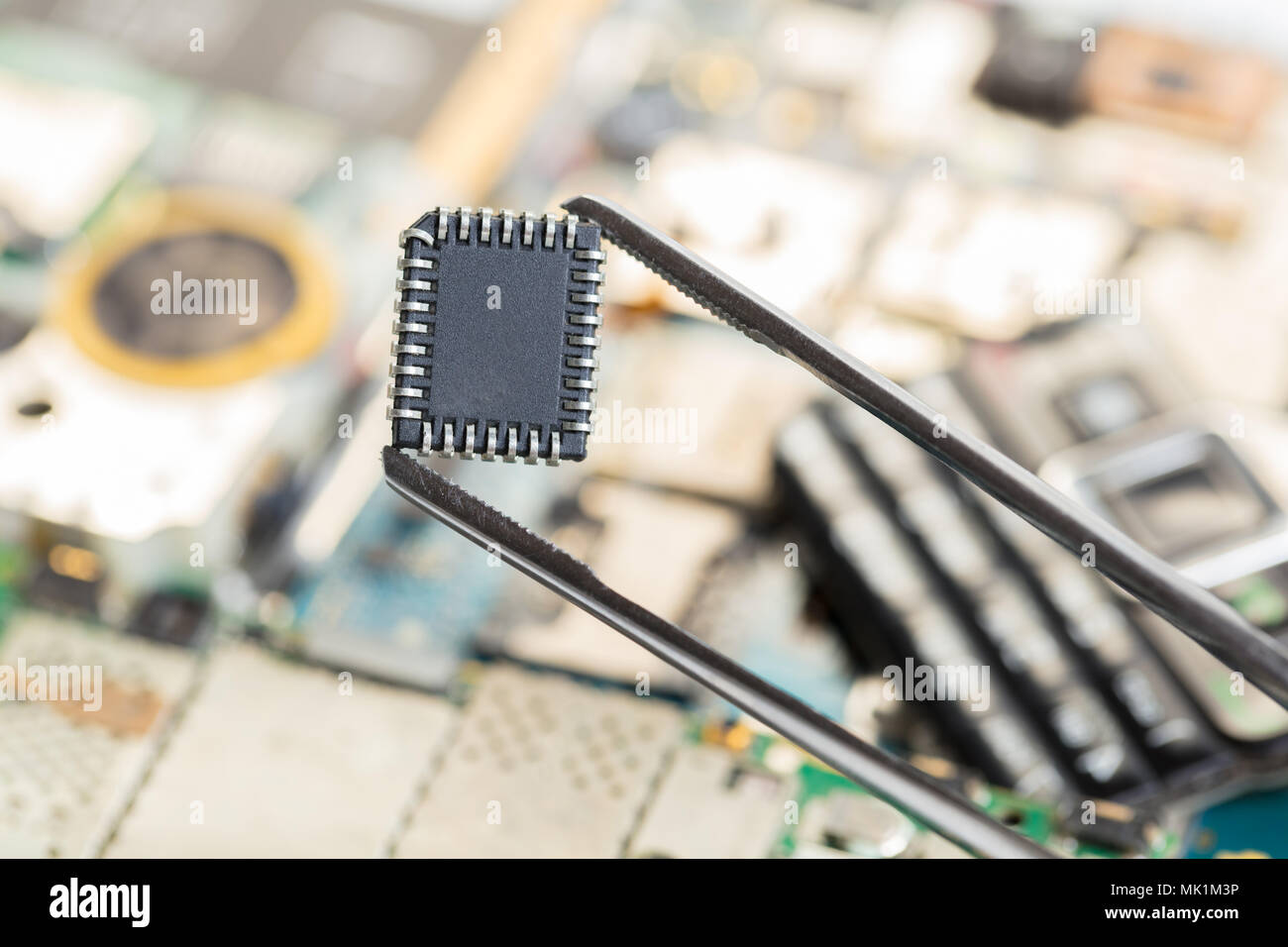 Elektronische chip in Pinzette auf dem Hintergrund der demontierten Mobiltelefon Stockfoto