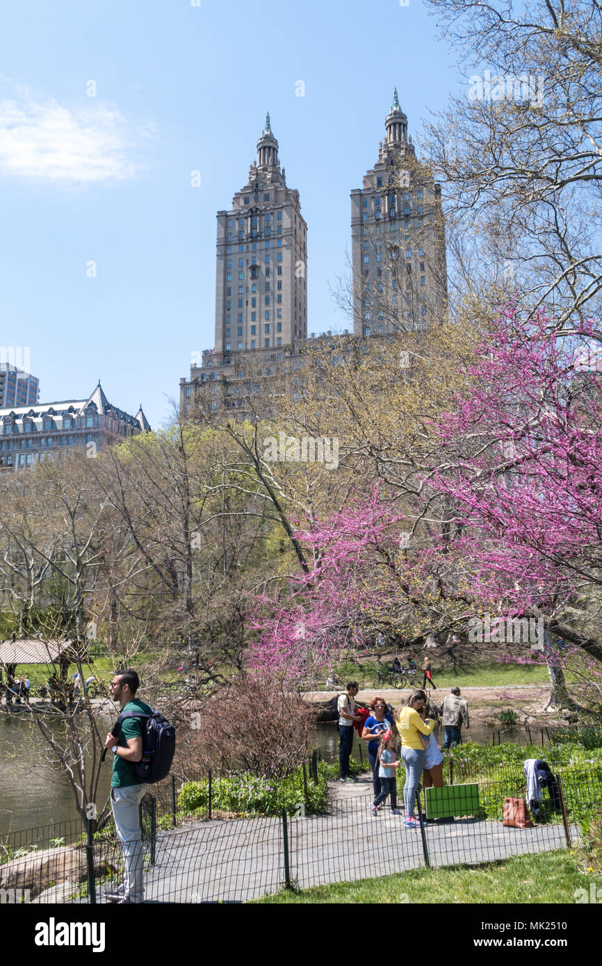 Personen, die bei einem Spaziergang durch den Central Park im Frühling, NYC, USA Stockfoto