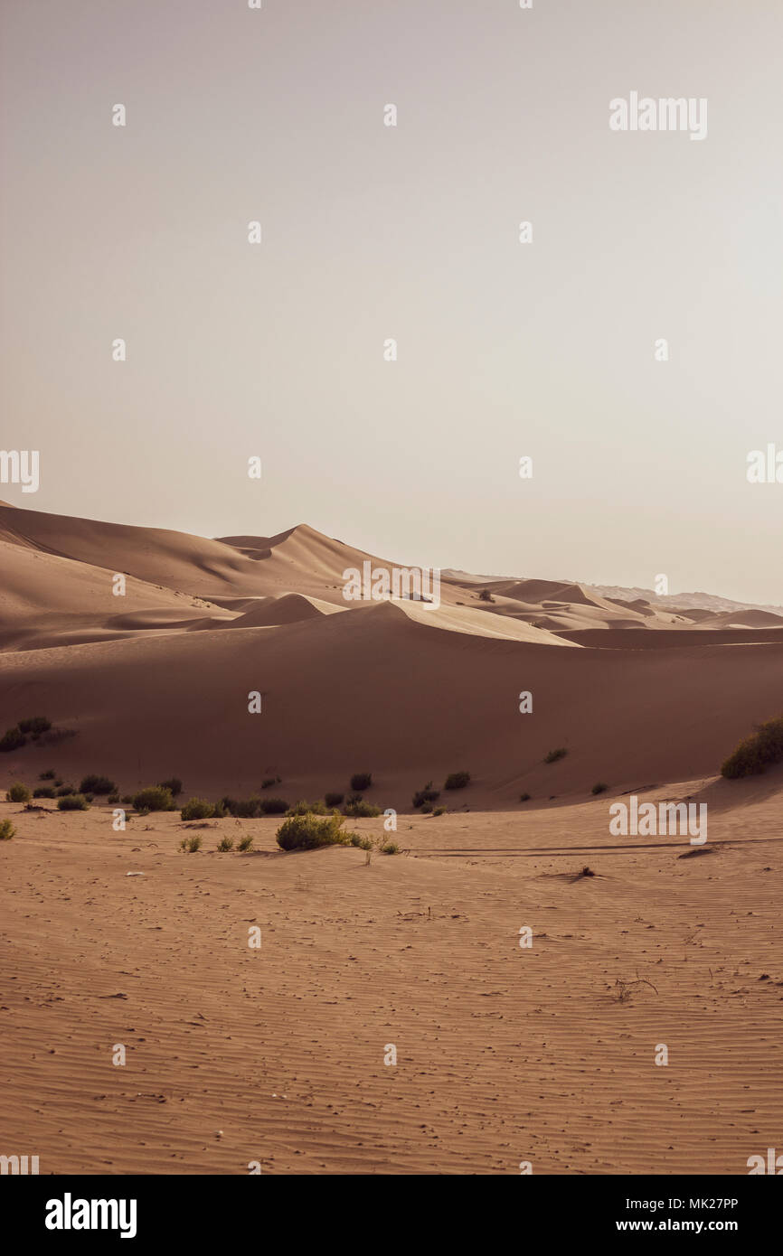 In der Wüste bei Abu Dhabi Vereinige arabische Emirat Sanddünen Stockfoto