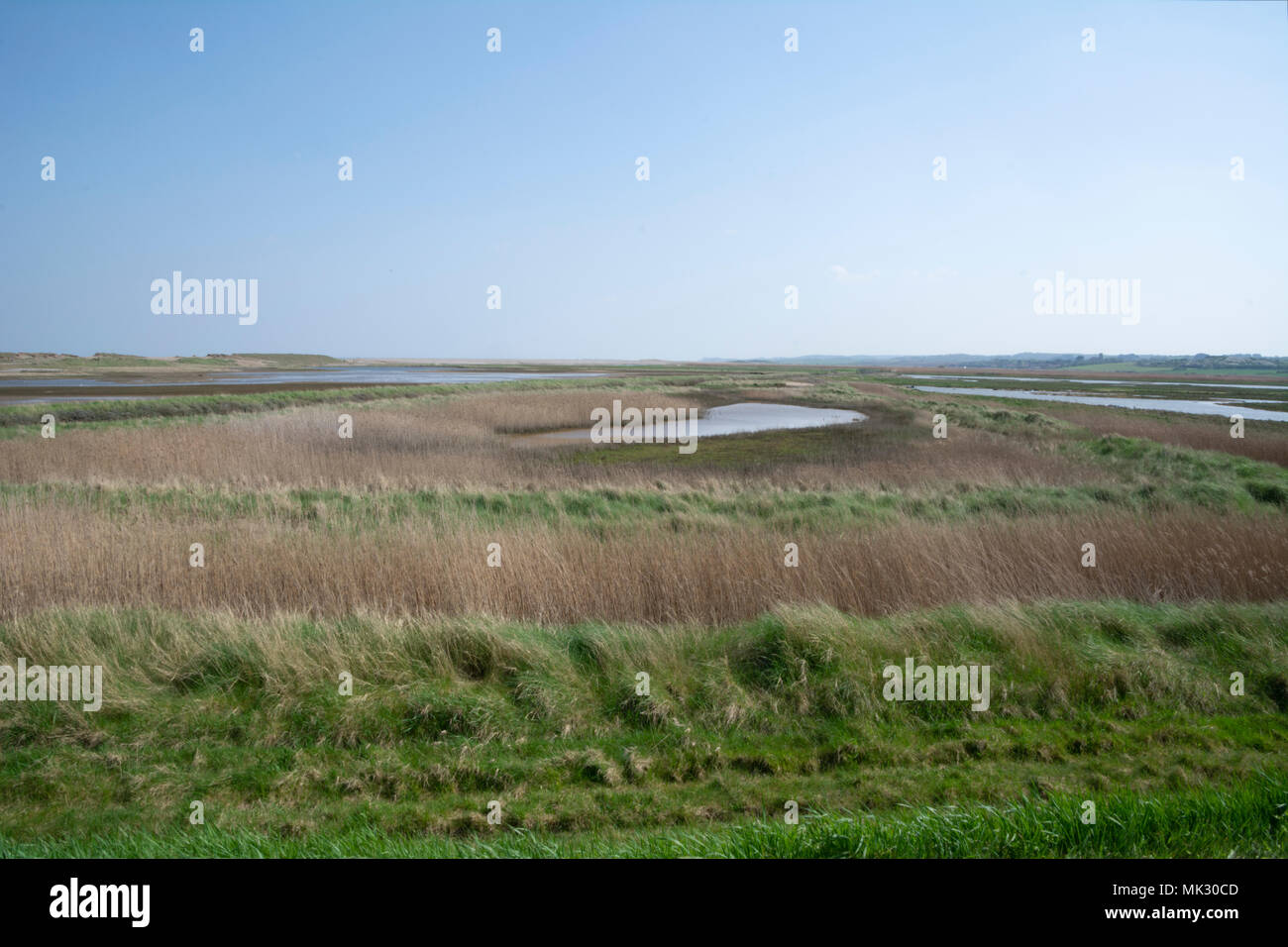 Arnold's Marsh, Cley next das Meer, North Norfolk, England, Großbritannien. Stockfoto