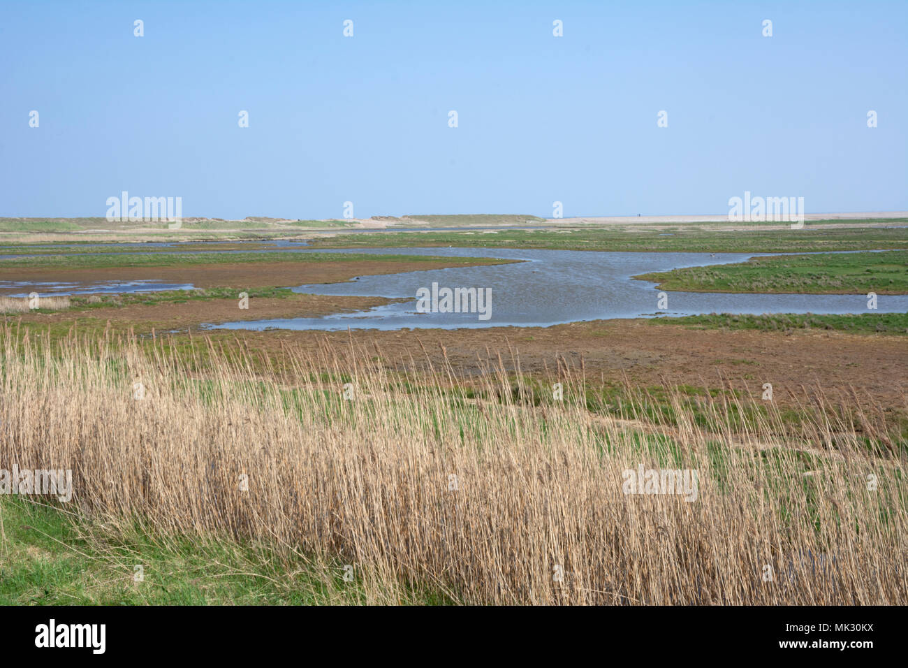 Marschland zwischen Blakeney und Cley next das Meer, North Norfolk. Stockfoto