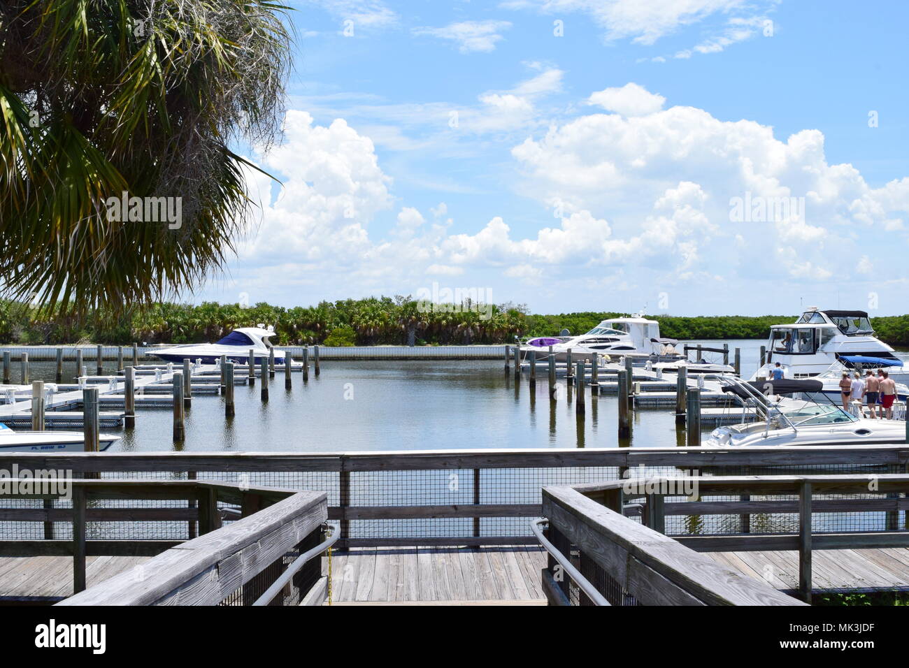 Calidesi Island Marina an der Golfküste von Florida Stockfoto