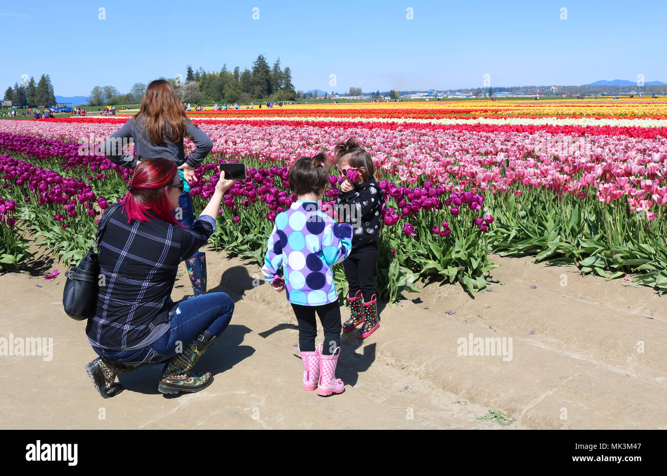 Mutter und drei Töchter im Tulip Stadt während der skagit Valley Tulip Festival in Mount Vernon, Washington, USA. Die Mutter ist, die Bilder von o Stockfoto