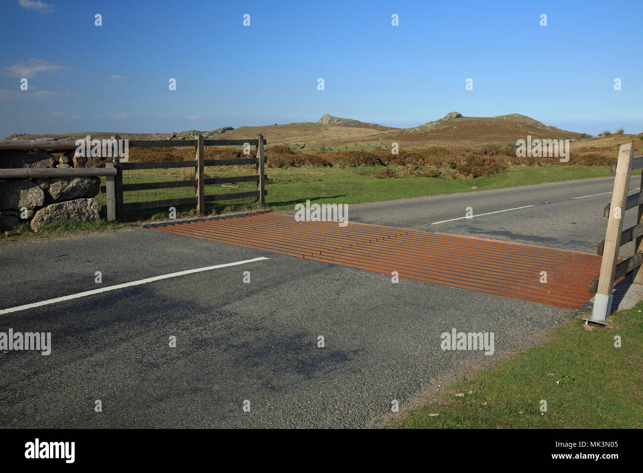 Blick Richtung Haytor/Sattel Tor, Dartmoor National Park, Devon, Großbritannien Stockfoto