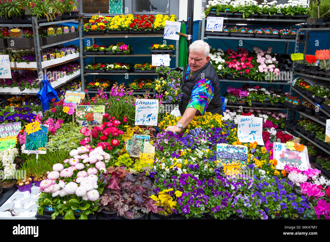 Blume Verkäufer in seinem Stall in der Columbia Road Blumenmarkt, London, UK Stockfoto