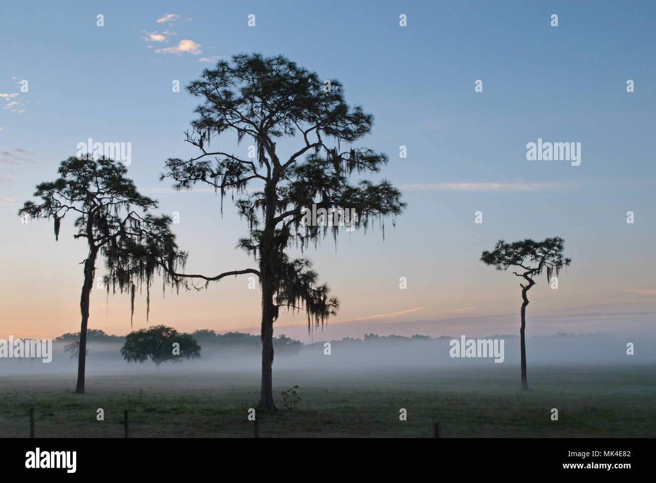 Calidesi Island Marina an der Golfküste von Florida Stockfoto