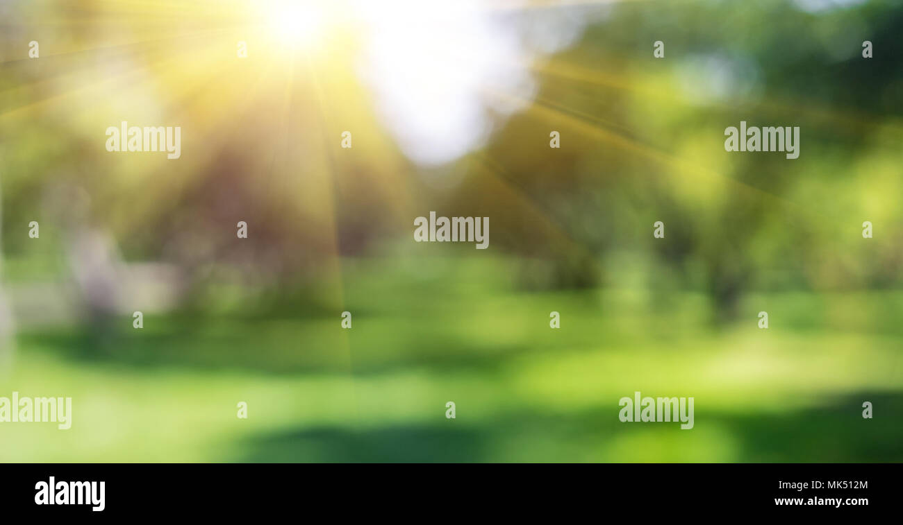 Grüne Natur Outdoor Stockfoto