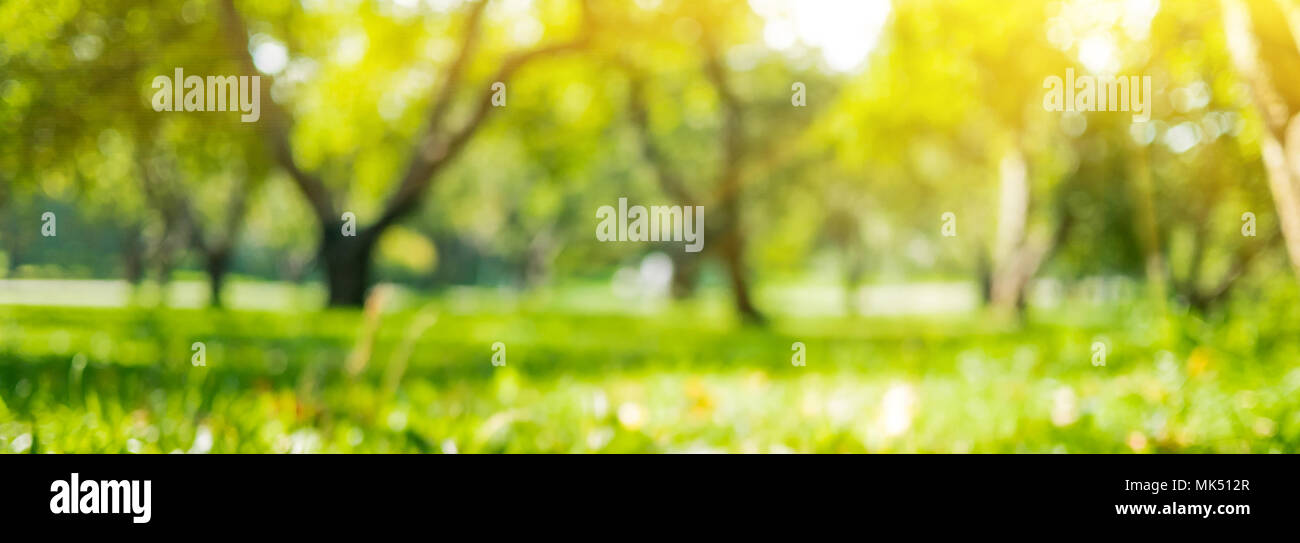 Lujiang blur Hintergrund Stockfoto