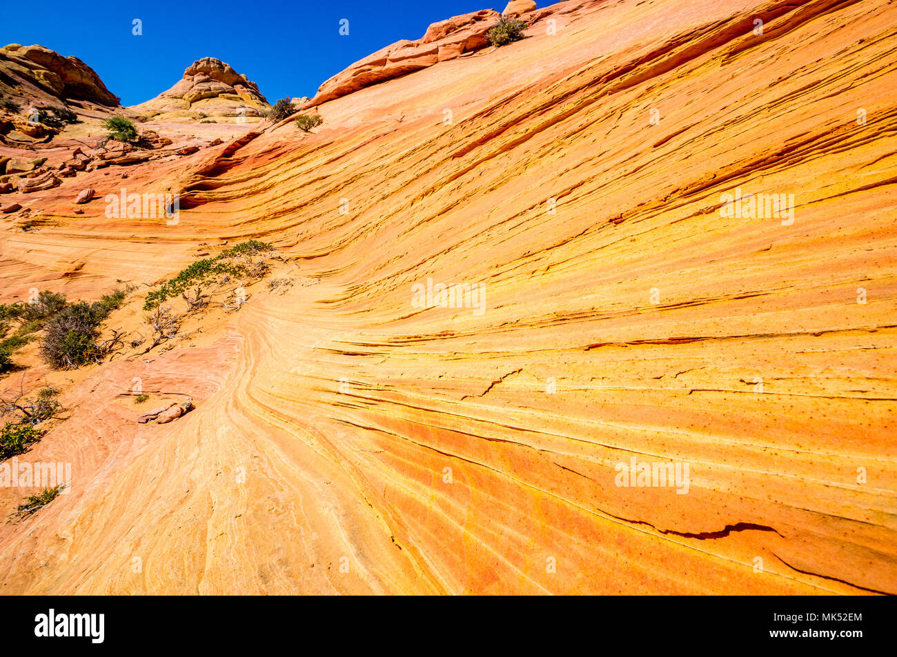 Bunte rote und goldene Streifen in sandsteinfelsen Bildung Cottonwood access Area South Coyote Buttes Vermilion Cliffs National Monument Arizona USA Stockfoto