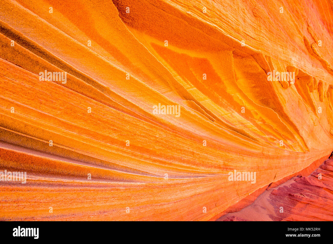 Detailansicht der Bunten Sandstein Muster und Flossen Cottonwood access Area South Coyote Buttes Vermilion Cliffs National Monument Arizona Stockfoto