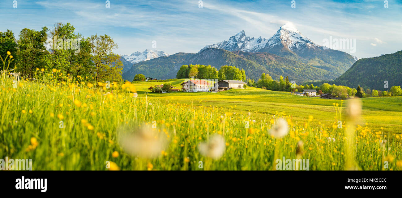 Schöne Aussicht auf die idyllische Bergkulisse der Alpen mit blühenden Wiesen und schneebedeckten Berggipfel an einem schönen sonnigen Tag mit blauem Himmel im Frühjahr Stockfoto