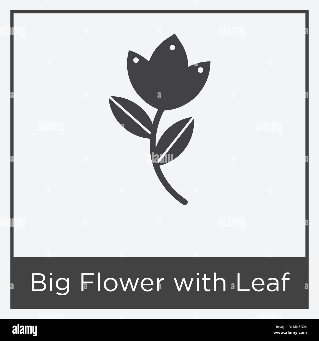 Grosse Blumen mit Blatt Symbol auf weißem Hintergrund mit grauen Rahmen, Zeichen und Symbol isoliert Stock Vektor