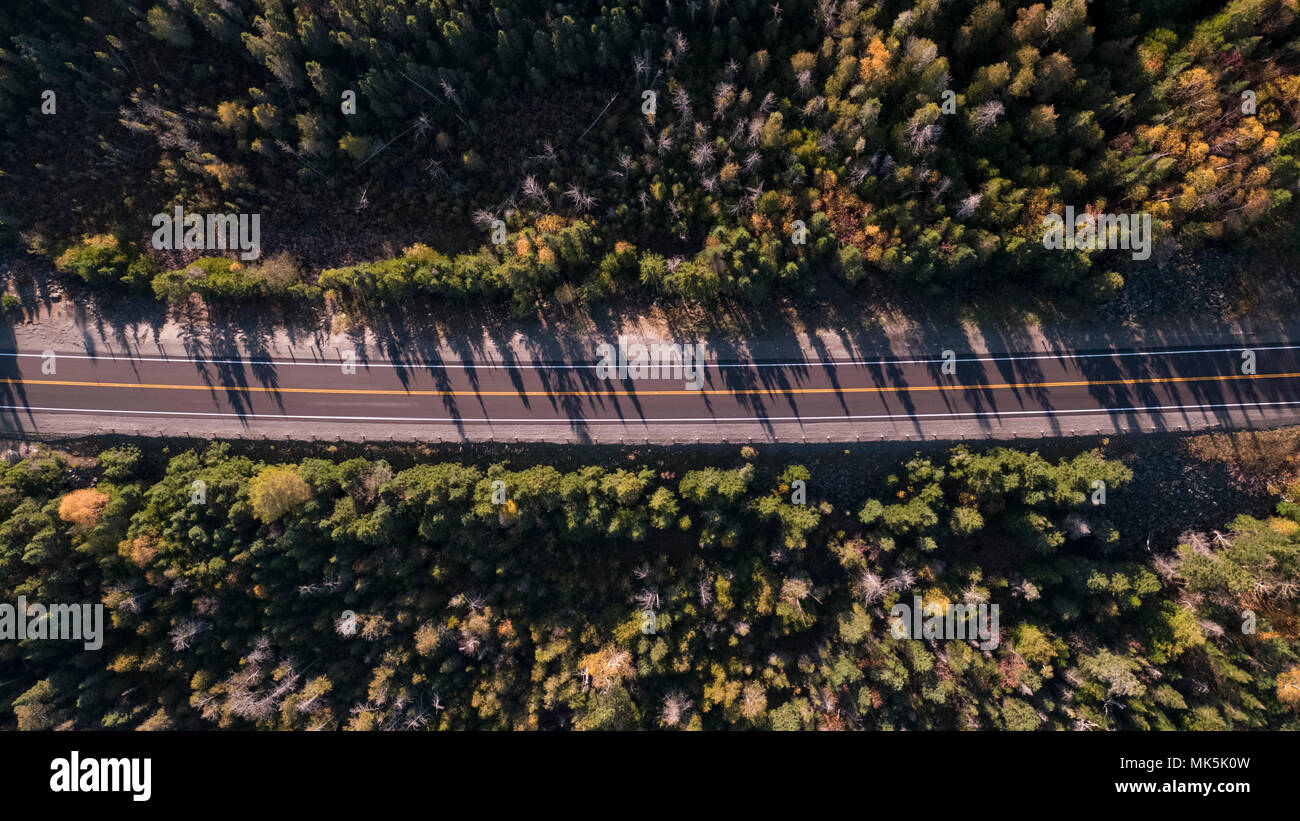 Antenne Forest Road Stockfoto