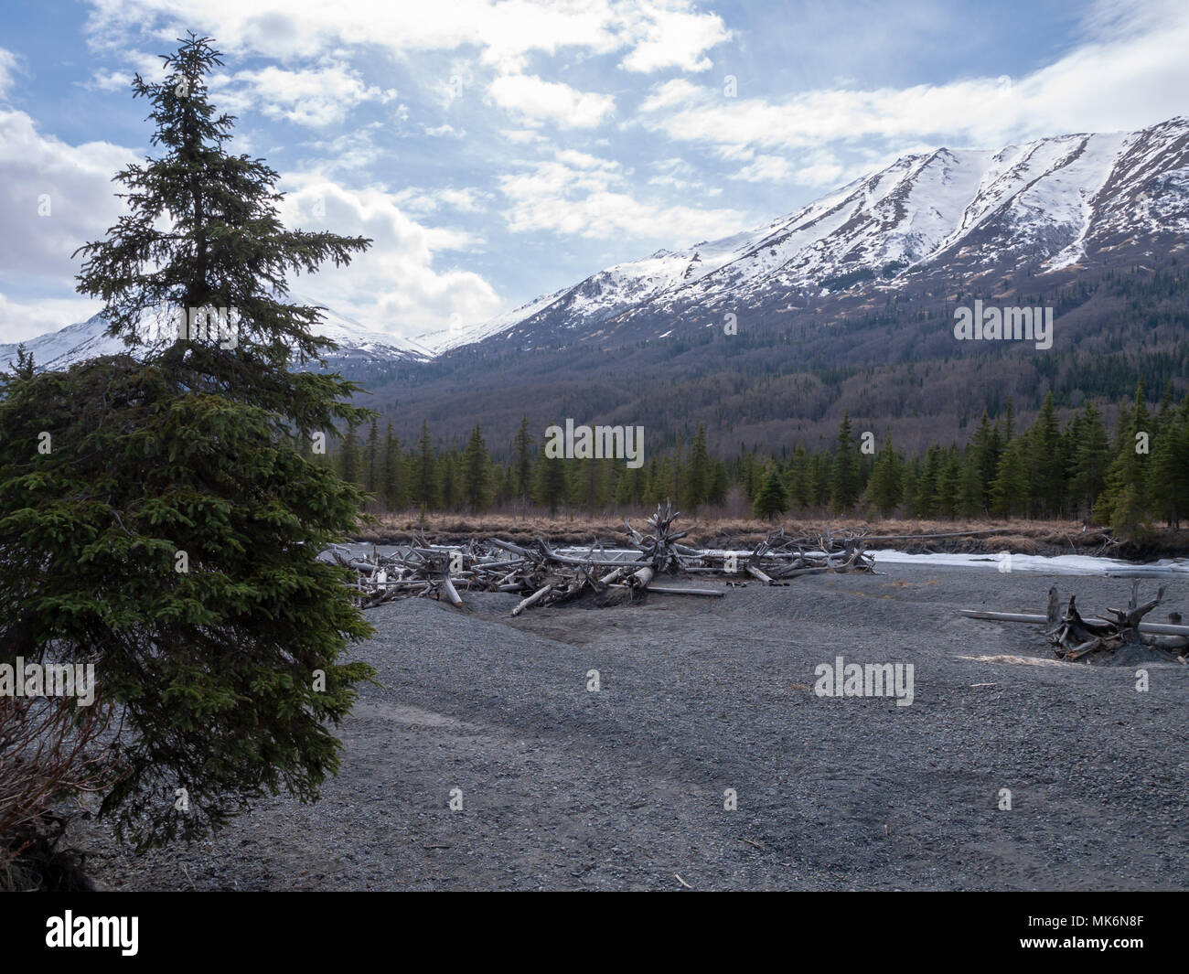 Eagle River, Chugach Mountains, Chugach State Park, Eagle River/Anchorage, Alaska. Frühling Stockfoto