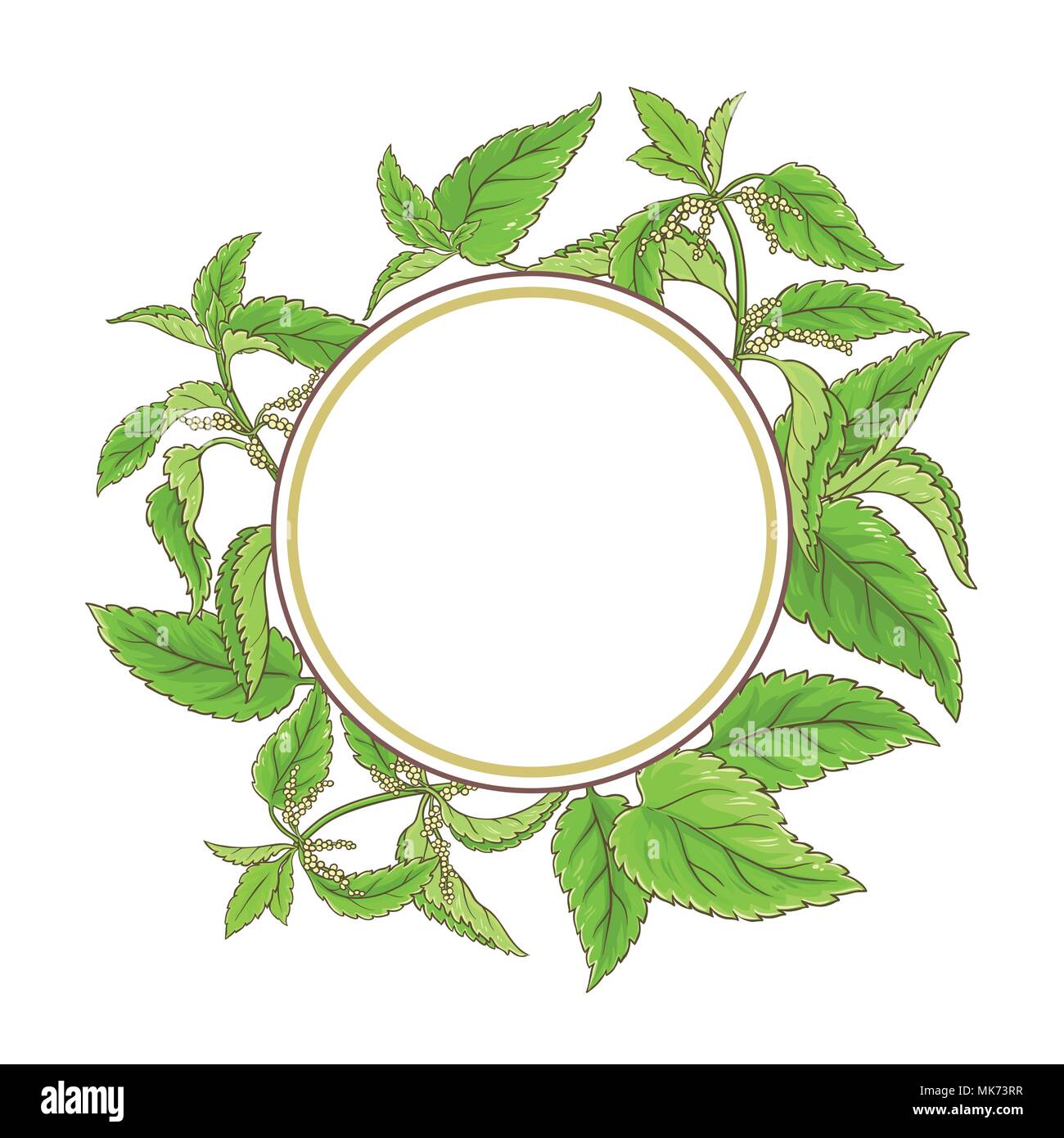 Brennnessel pflanze Vektor Rahmen auf weißem Hintergrund Stock Vektor