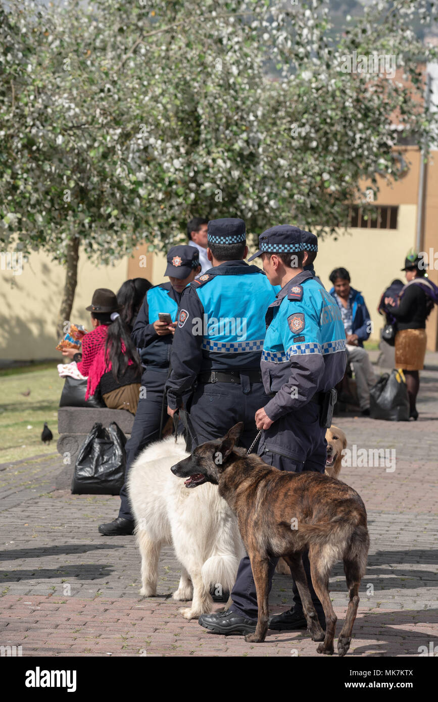 Polizisten mit Hunden, Quito, Ecuador. Stockfoto