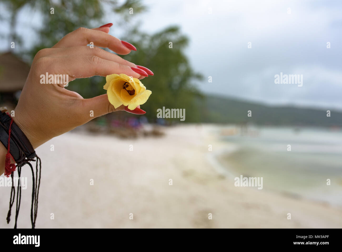 Frau mit yelloWoman Holding gelbe Blume in Handw Blume in der Hand Stockfoto
