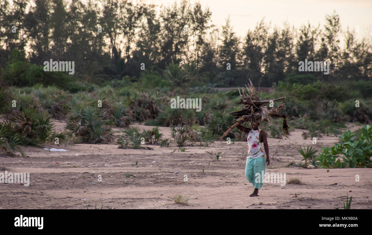 Eine afrikanische Frau geht nach Hause nach Sammeln von Brennholz Stockfoto