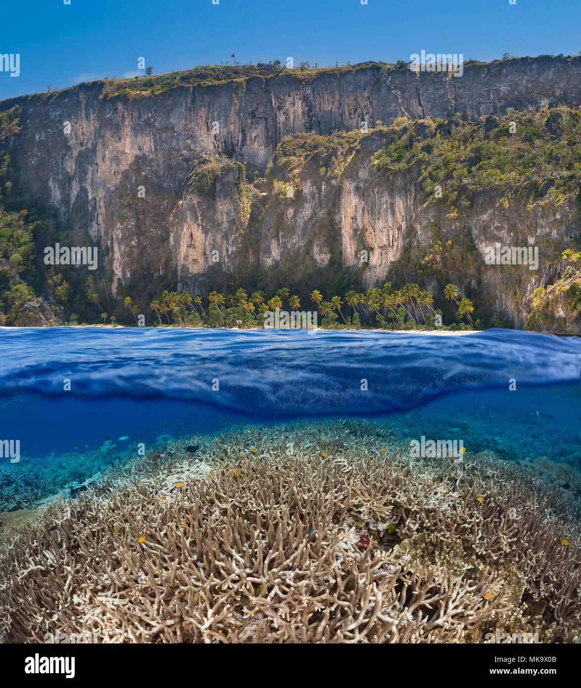 Eine Szene mit einem flachen hard Coral Reef unten und eine indonesische Insel oben. Stockfoto