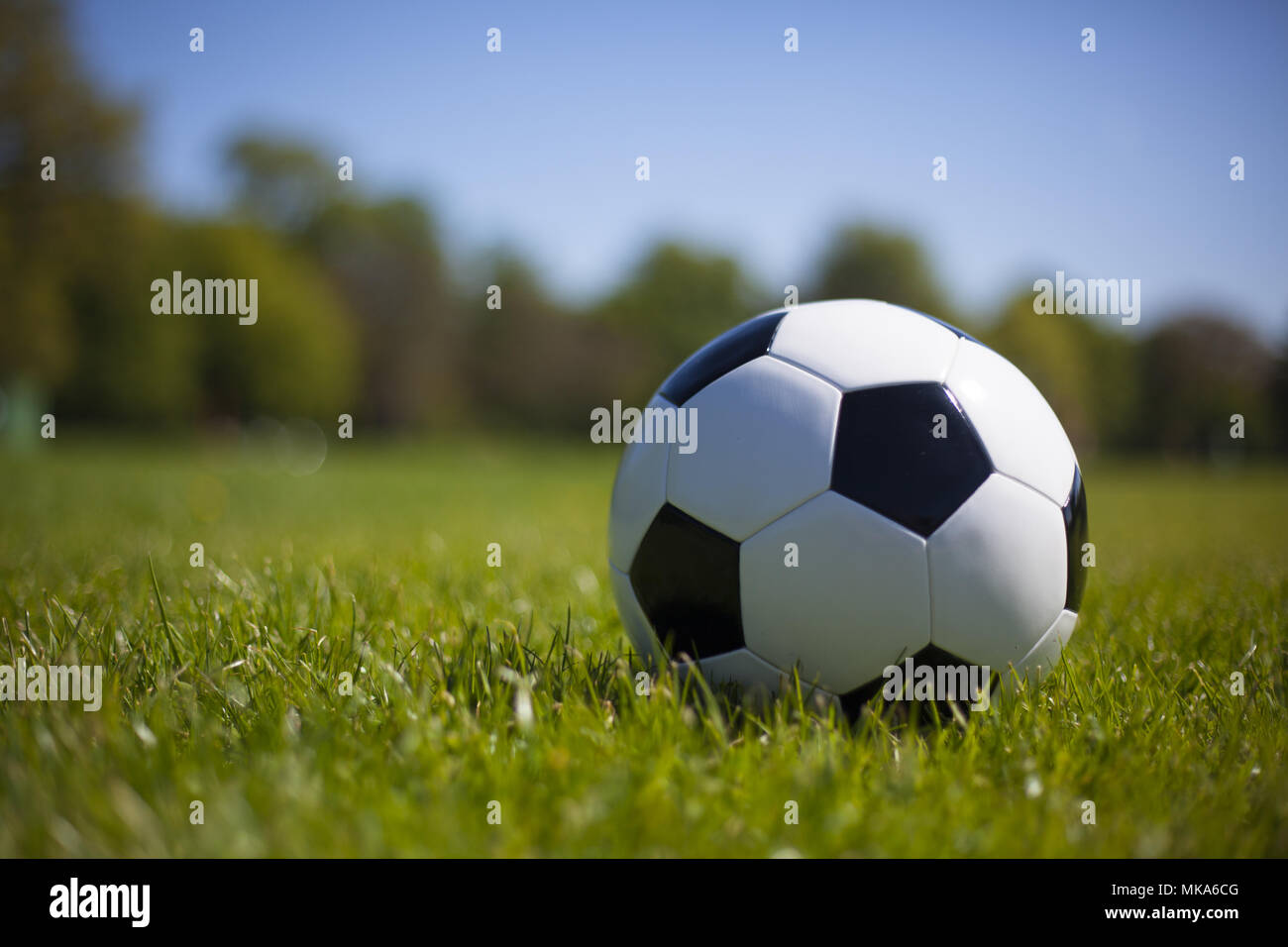 Einen schwarz-weißen Fußball auf Gras Stockfoto