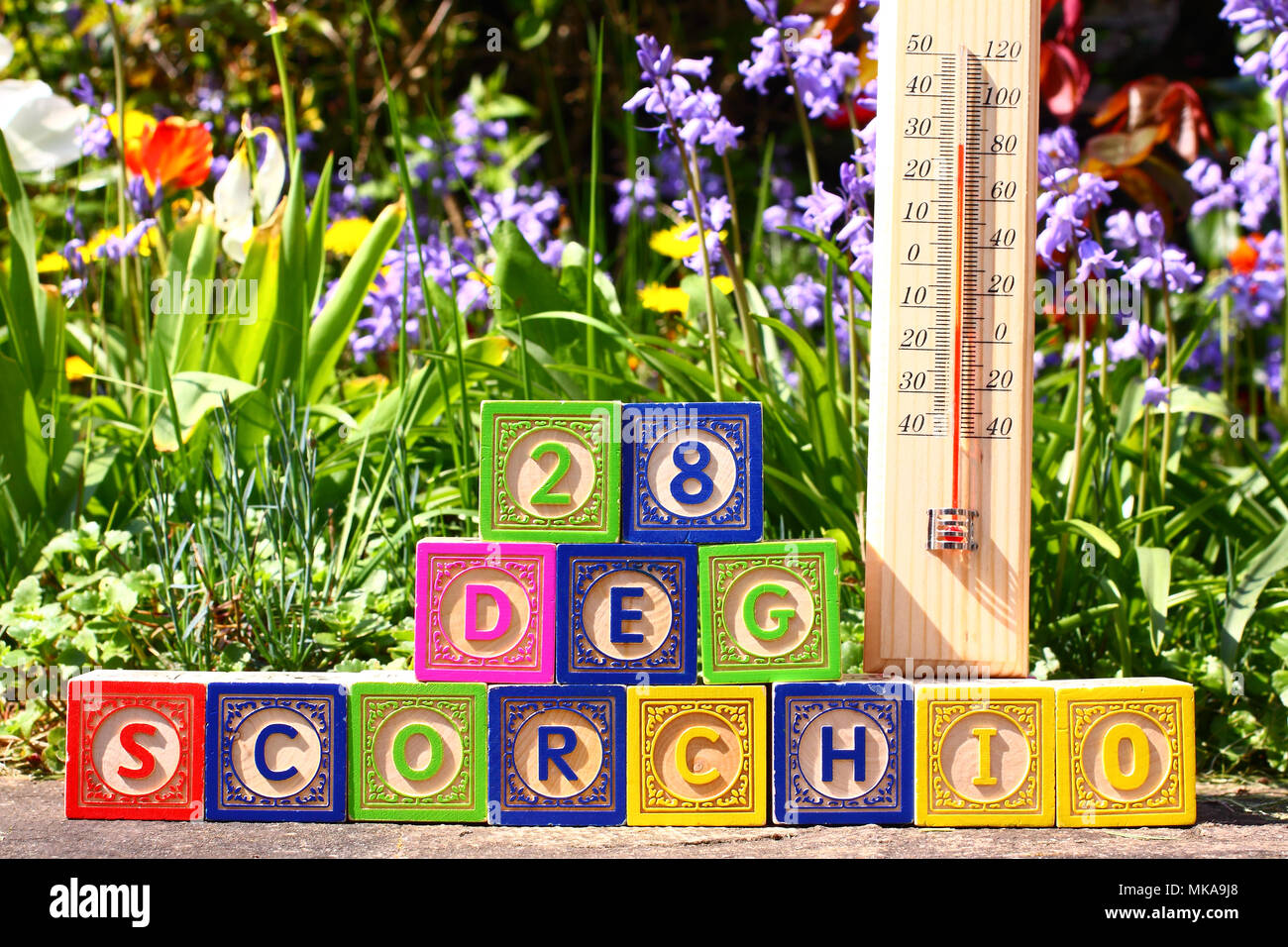 Leeds, Großbritannien. 7. Mai 2018 die Bank Holiday Montag Wetter bereits Temperaturen um 28 Grad Celsius in den Garten einer Wohnstraße am Vormittag in Morley, Leeds, heute wirklich scorchio. Credit: Andrew Gardner/Alamy leben Nachrichten Stockfoto