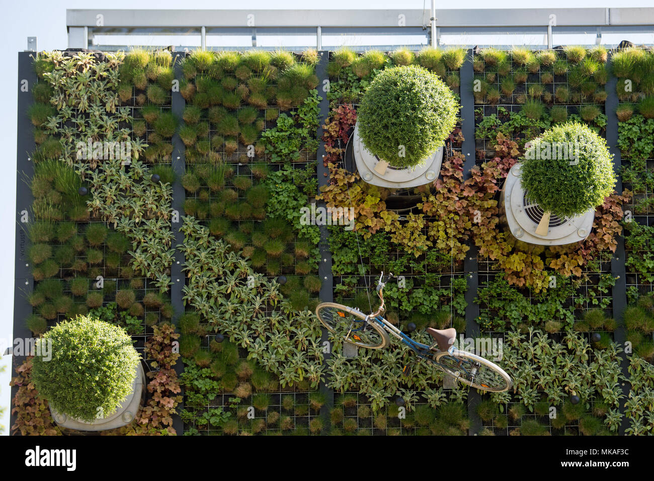 07. Mai 2018, Deutschland, Stuttgart: Die Uni Hohenheim vertikale hightech Garten hängen von einem Gebäude am Tag ihrer Hingabe. Die fassade Garten mit rotierenden Bäume wurde durch die Inbetriebnahme von Hohenheim" Visioverdis' gemacht. Foto: Sebastian Gollnow/dpa Stockfoto