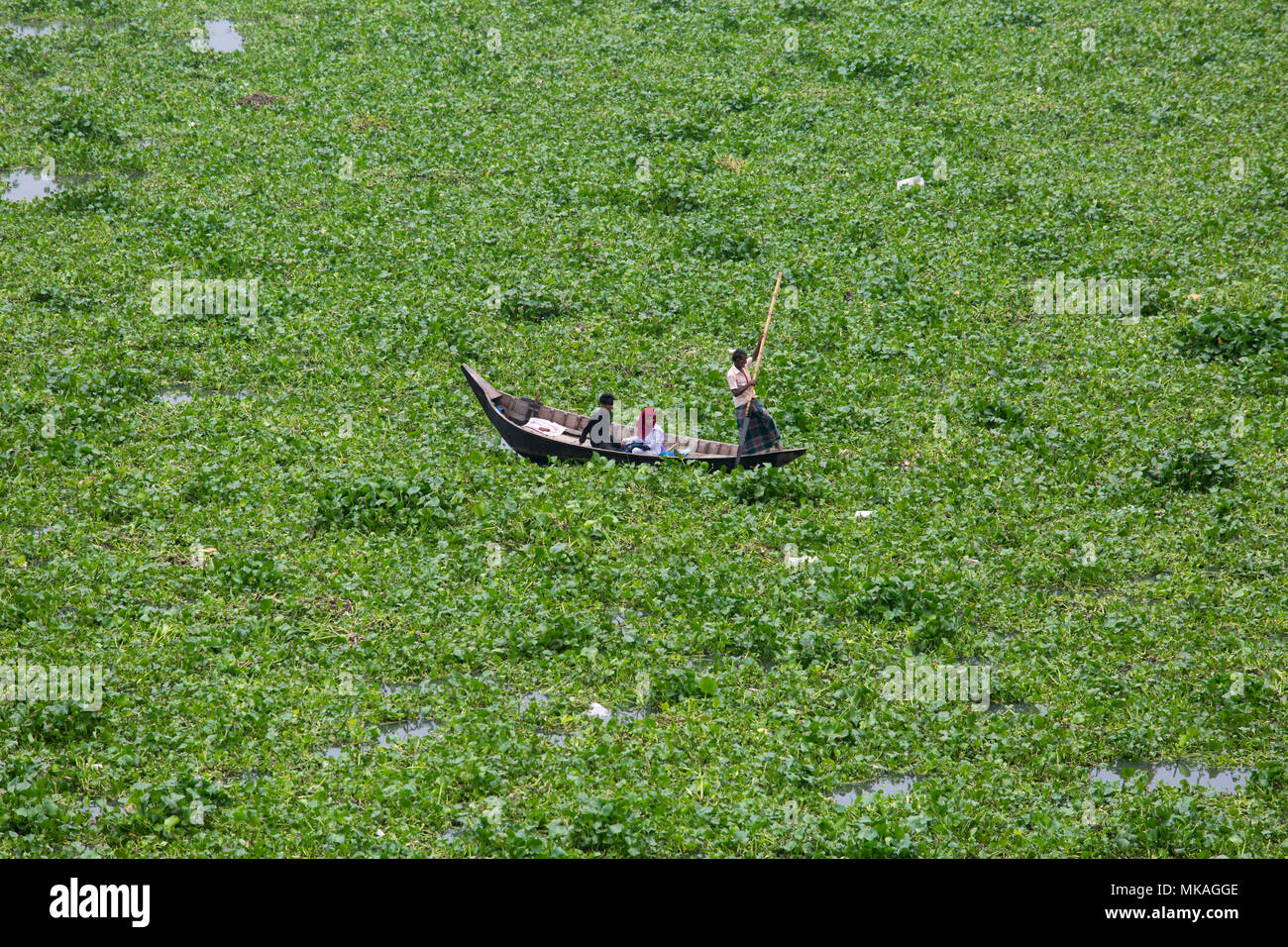 Dhaka, Bangladesch. 7. Mai, 2018. Monsun kommt das Wasser - hyazinthe ist im Fluss gefüllt. Aufgrund des Wassers - hyazinthe Pkw Kreuzung Boot hat in den Fluss. Ein Schiffer und zwei Schüler versuchen, das Wasser zu überqueren - hyazinthe in der Burigonga Fluss in Dhaka, Bangladesch gefüllt. Montag, 07 Mai, 2018. Credit: Jahangir Alam Onuchcha/Alamy leben Nachrichten Stockfoto