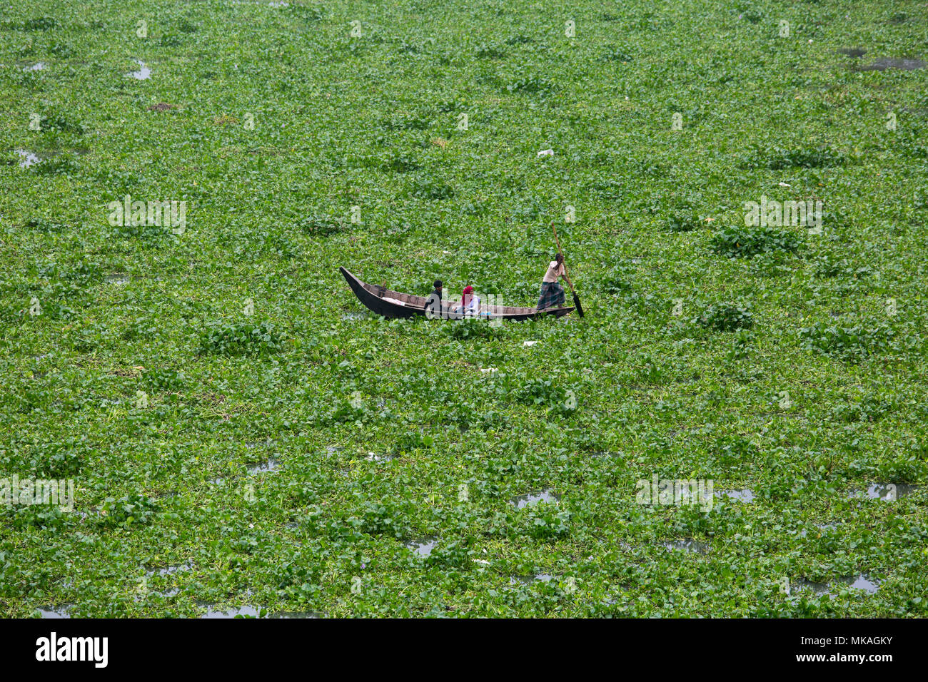 Dhaka, Bangladesch. 7. Mai, 2018. Monsun kommt das Wasser - hyazinthe ist im Fluss gefüllt. Aufgrund des Wassers - hyazinthe Pkw Kreuzung Boot hat in den Fluss. Ein Schiffer und zwei Schüler versuchen, das Wasser zu überqueren - hyazinthe in der Burigonga Fluss in Dhaka, Bangladesch gefüllt. Montag, 07 Mai, 2018. Credit: Jahangir Alam Onuchcha/Alamy leben Nachrichten Stockfoto