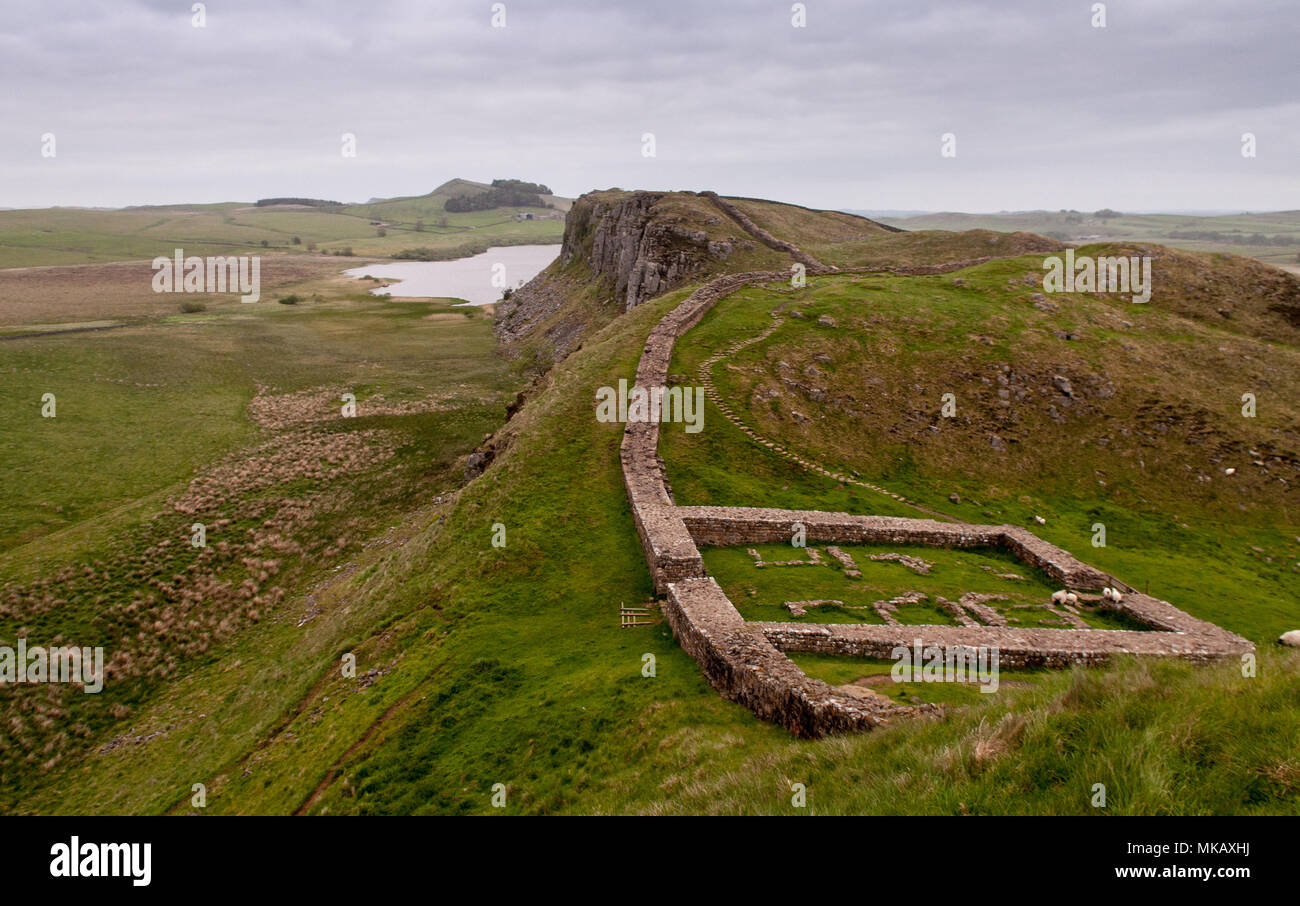 Schafe grasen unter den Ruinen von Milecastle 39, eine römische Festung auf Hadrian's Wall, der fronteir des Römischen Reiches auf Hügeln in Northumberland, Engla Stockfoto